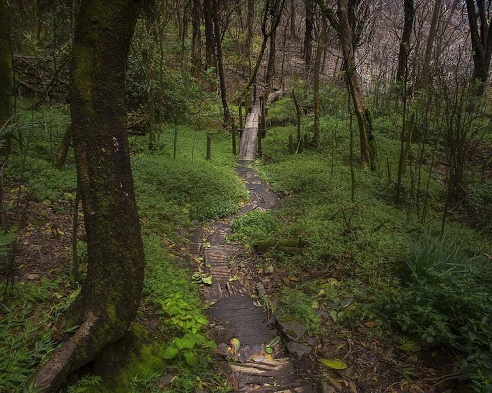 Mombacho hike Nicaragua