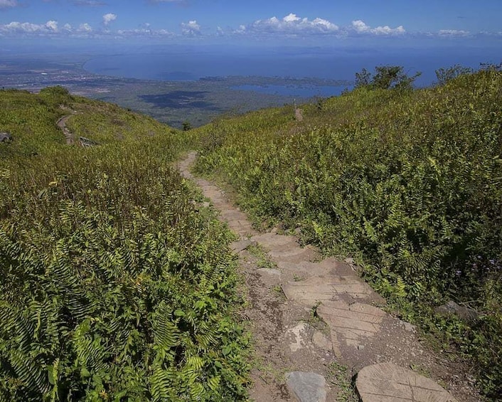 Picture 5 for Activity Mombacho hike Nicaragua