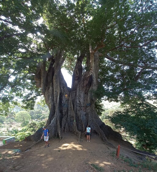 Picture 1 for Activity Santiago Island Tour