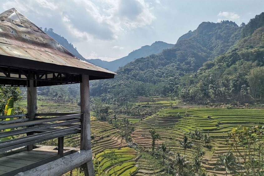 Picture 3 for Activity Yogyakarta: Selogriyo Temple, Rice Terraces & Waterfall Tour