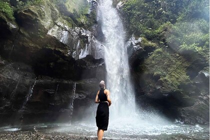 Yogyakarta: Templo Selogriyo, terrazas de arroz y tour por las cascadas