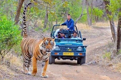 Tour de 06 días por el Triángulo Dorado con Ranthambore Safari