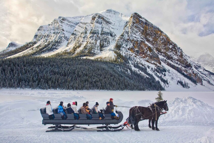 Picture 6 for Activity Banff National Park Tour: Lake Louise & Marble Canyon