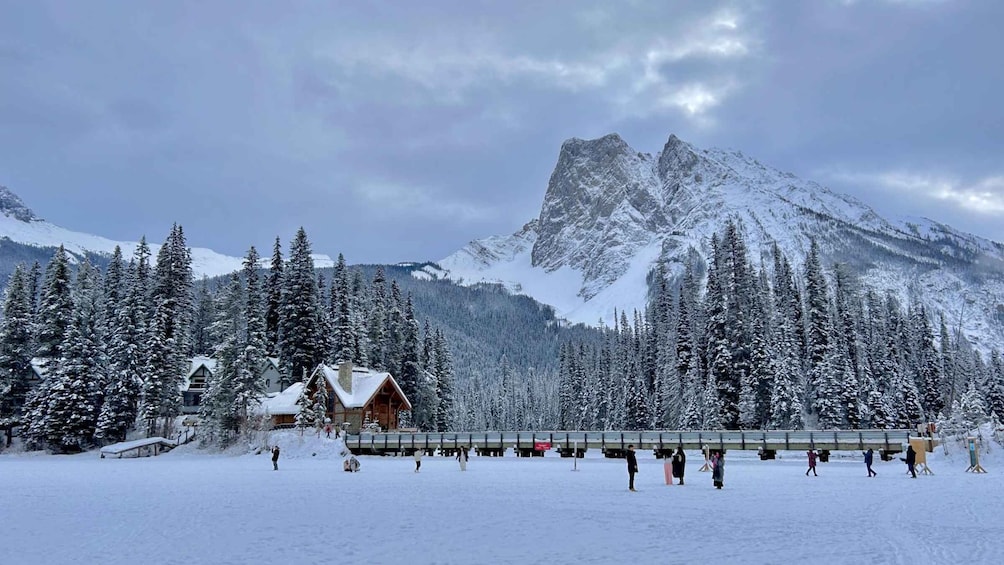 Picture 4 for Activity Banff & Yoho & Kootenay: Three N.P Tour with Lake and Canyon