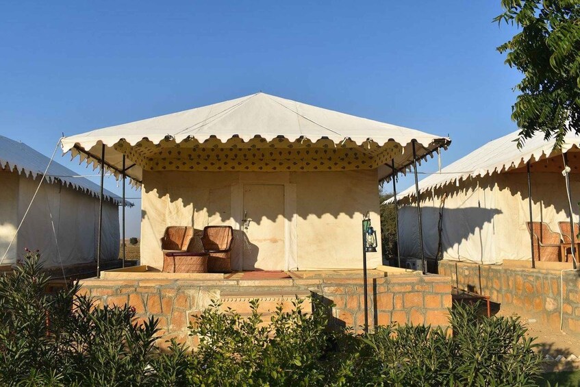 Frenzy Paradise Overnight Thar Desert Camping Tour