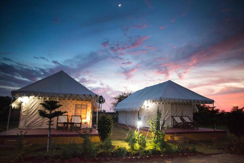 Frenzy Paradise Overnight Thar Desert Camping Tour