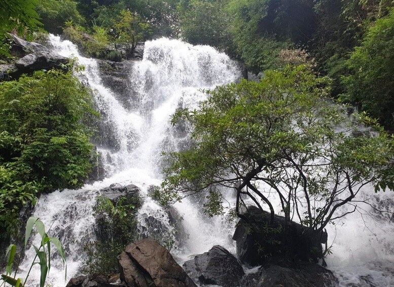 Picture 6 for Activity Daily Tour - Paradise Cave & Explore Phong Nha Cave by Boat