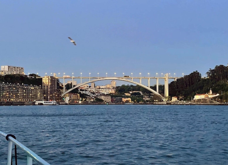 Picture 34 for Activity Porto: Douro private cruiser (only for you)6 bridges/sunset