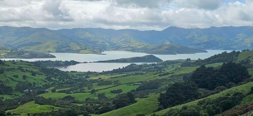 Picture 6 for Activity From Christchurch: Akaroa Day Tour with Optional Cruise