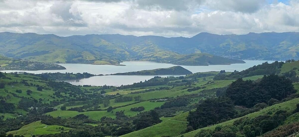 Picture 6 for Activity From Christchurch: Akaroa Day Tour with Optional Cruise