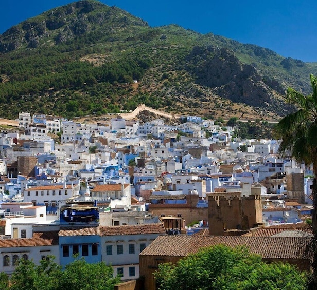 Picture 6 for Activity From Fes: Day Trip to The Blue City Chefchaouen