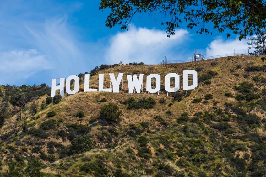 Los Angeles: Celebrity Homes Hollywood Driving Tour