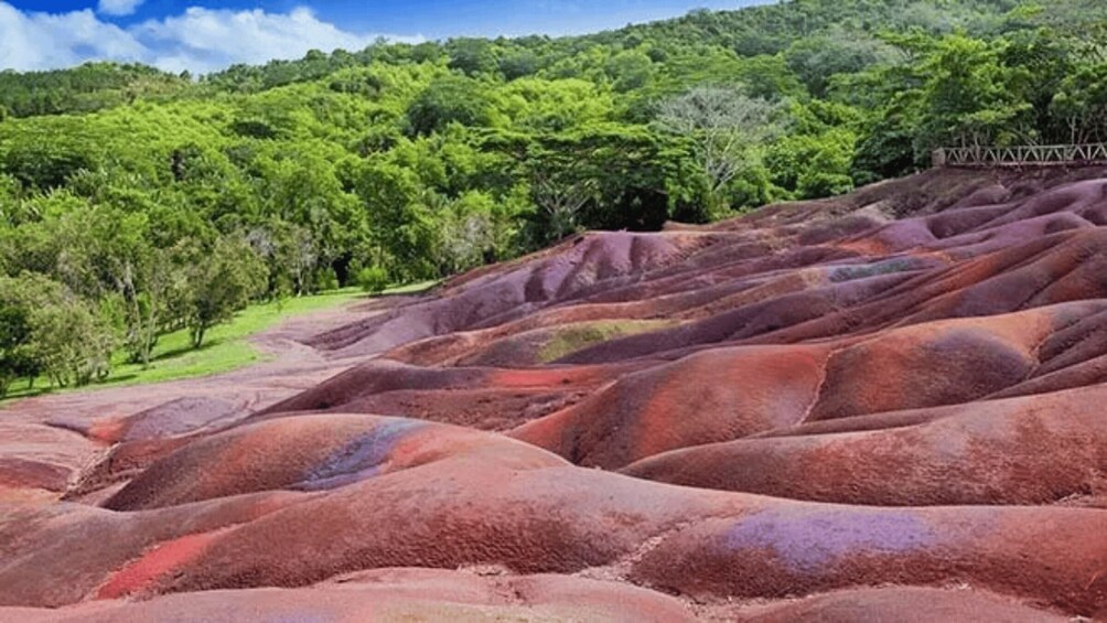 Picture 2 for Activity Mauritius South West Discovery tours private car /guide