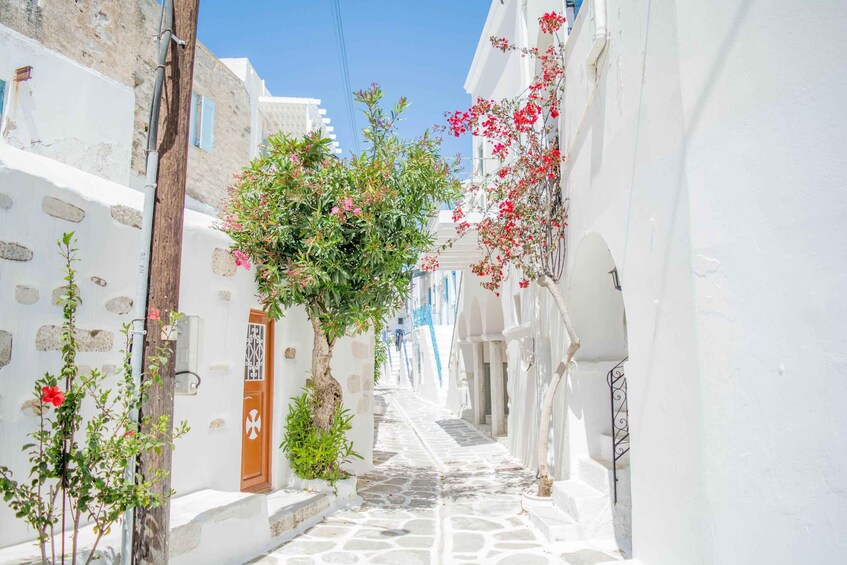 Picture 3 for Activity From Paros: Paros and Antiparos Islands Guided Tour