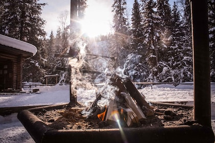 Rovaniemi: Korouoma frozen waterfalls with sauna and lunch