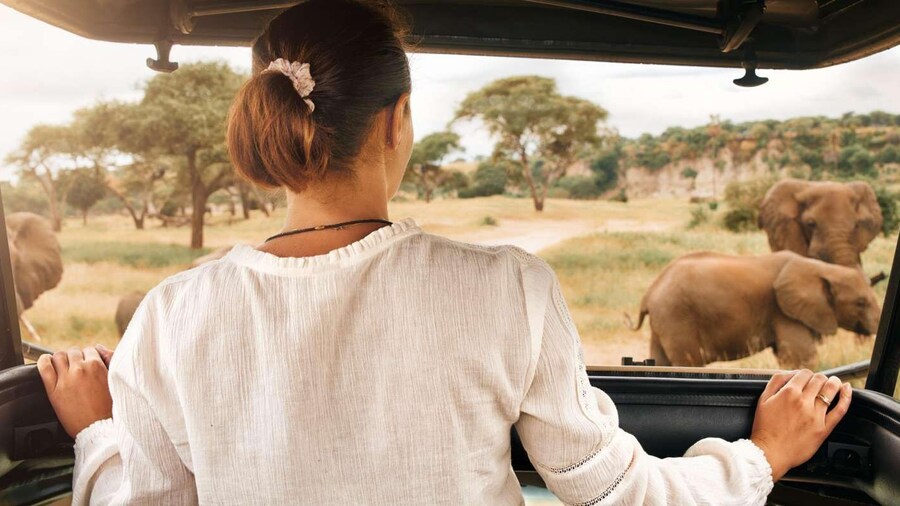 3-Hour Shared Game Drive in Pilanesberg National Park