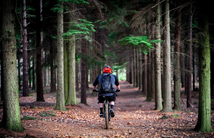 Picture 2 for Activity Mombasa: Bamburi Forest Bike Ride