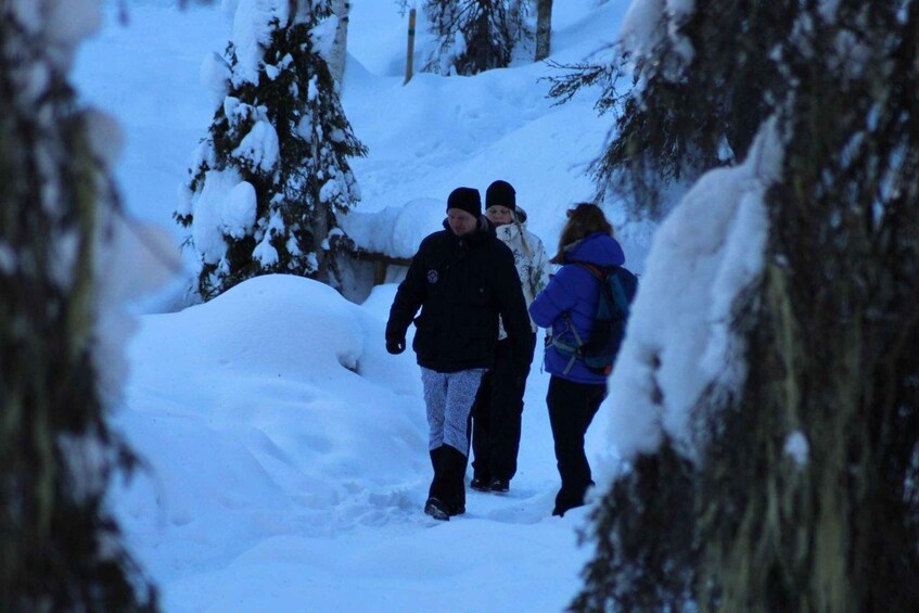 Picture 16 for Activity From Rovaniemi:Korouoma Canyon and Frozen Waterfalls Tour