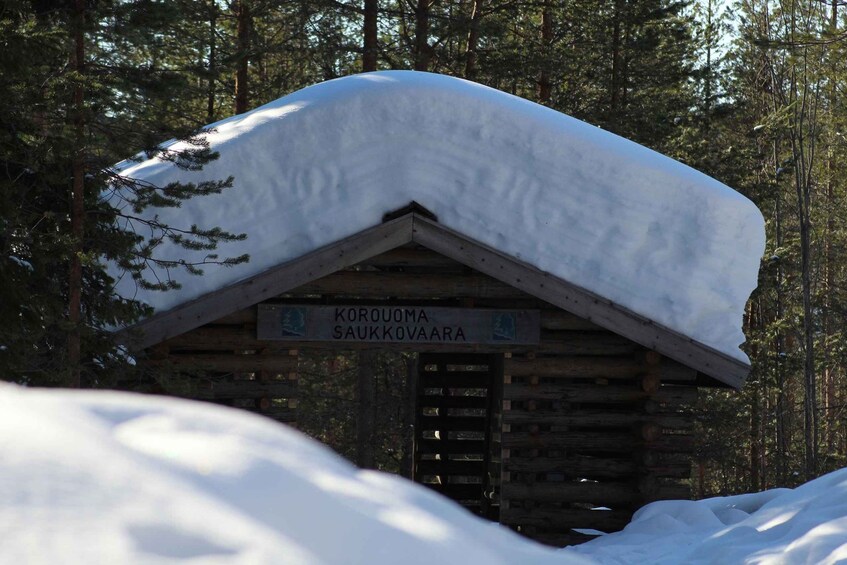 Picture 2 for Activity From Rovaniemi:Korouoma Canyon and Frozen Waterfalls Tour