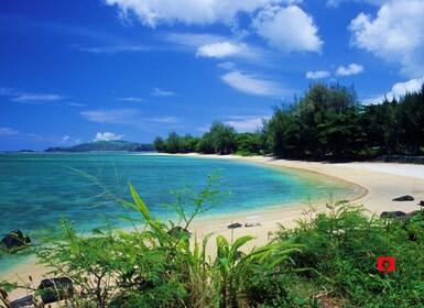 ไฮไลท์ของเกาะ Kauai: ทัวร์ขับรถเที่ยวรอบเกาะแบบไม่ต้องพึ่งไกด์