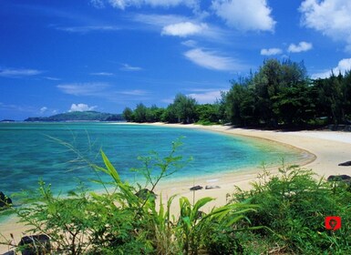 ไฮไลท์ของเกาะ Kauai: ทัวร์ขับรถเที่ยวรอบเกาะแบบไม่ต้องพึ่งไกด์