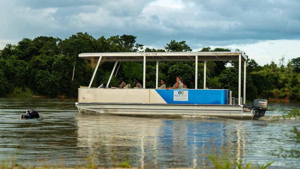 Picture 7 for Activity From Nyerere N.P. : Boat Safari on the Rufiji River