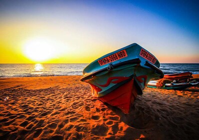 Dari Kolombo: Liburan 5 Hari di Pantai Negombo & Catamaran