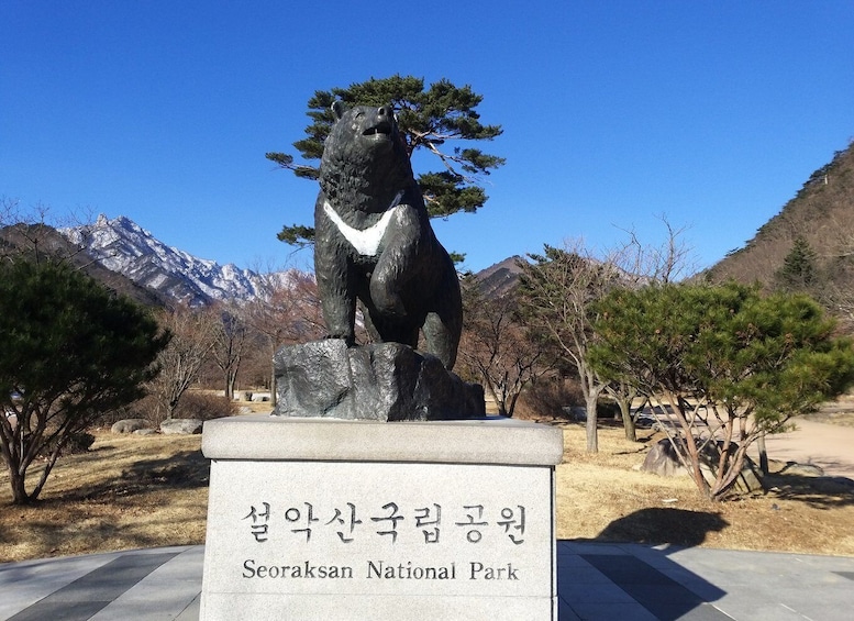 Picture 4 for Activity Seoul: Mt.Seorak, Nami Island & Korean Garden, No Shopping