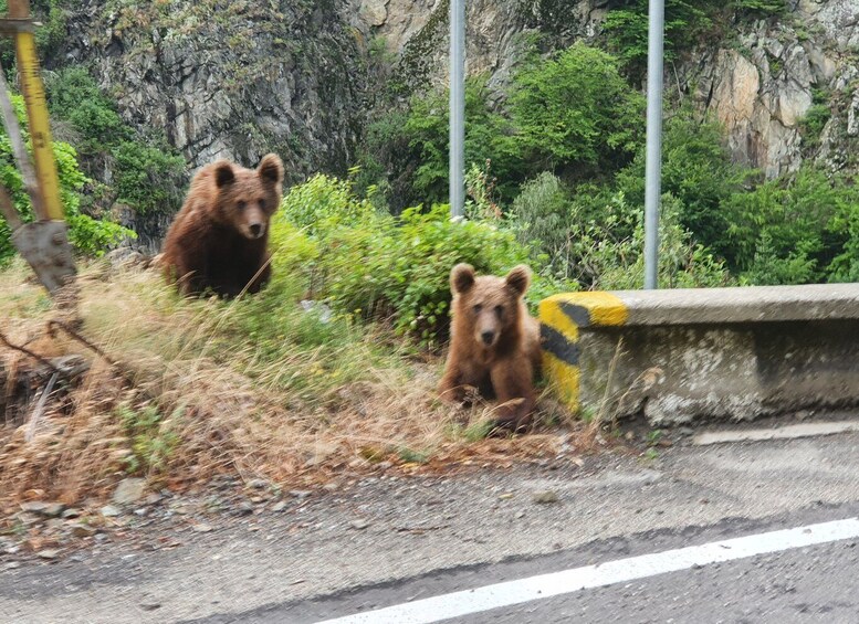 Picture 8 for Activity 13 Days Private Guided Tour in Romania