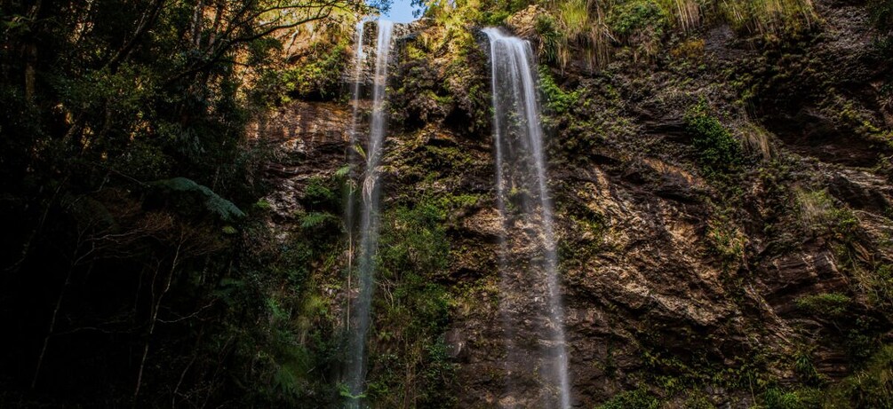 Picture 3 for Activity Spring Brook National Park Driving Tour with an APP