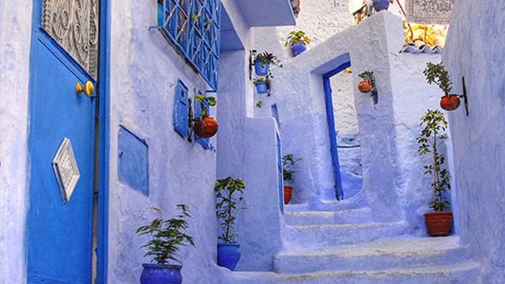 Picture 4 for Activity From Vejer & Tarifa, 2-Day Tangier, Asilah, Chefchaouen