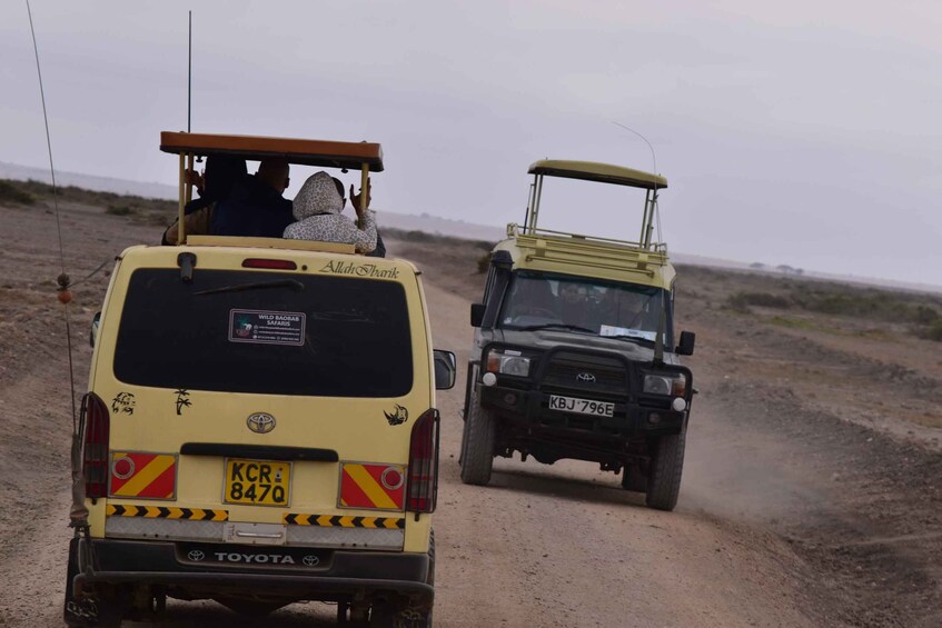 Picture 3 for Activity 3 Days 2 nights Tsavo Safari