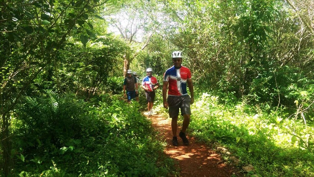 Picture 1 for Activity Bayahibe Ebike Tour