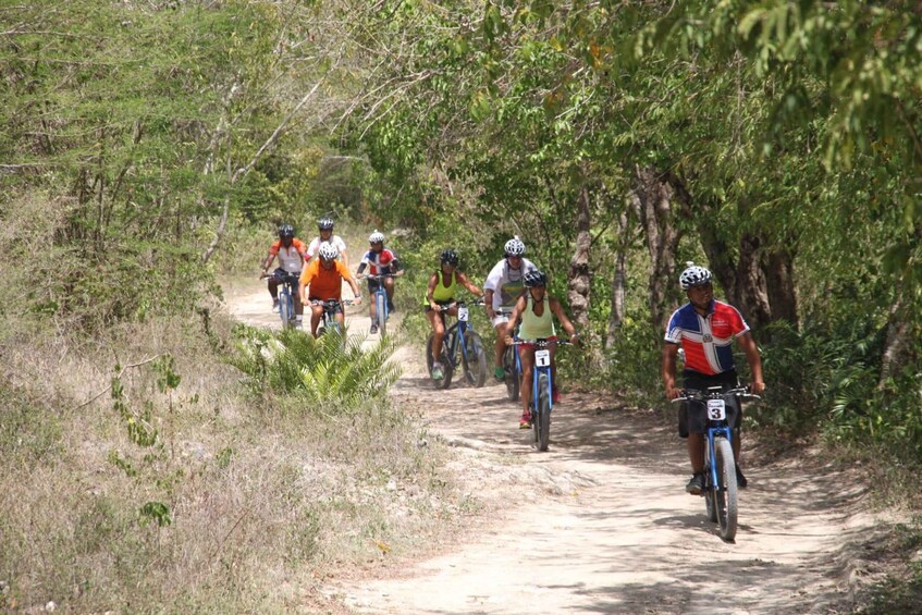 Picture 2 for Activity Bayahibe Ebike Tour