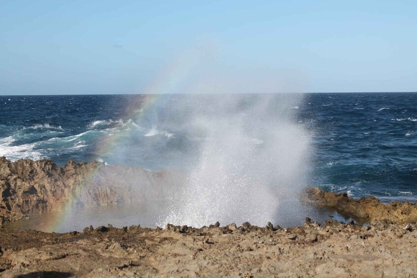 Picture 4 for Activity Willemstad: Breath of Curacao