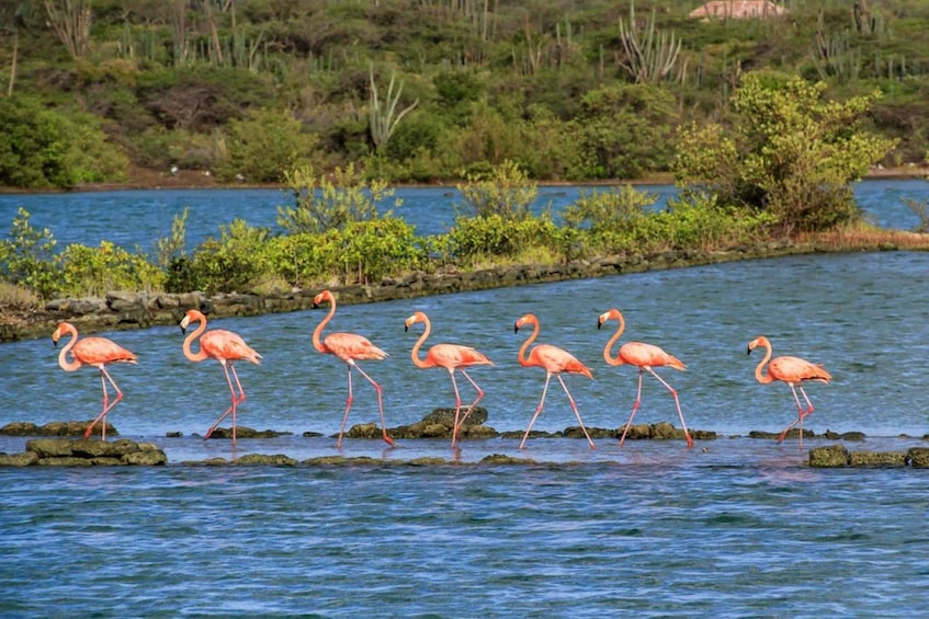 Willemstad: Breath of Curacao