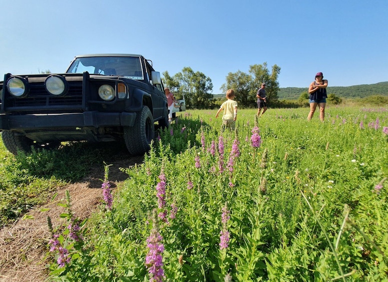 Picture 11 for Activity From Cavtat: Konavle Valley Off-Road Jeep Safari with Lunch