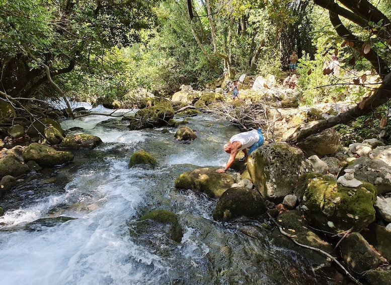 Picture 6 for Activity From Cavtat: Konavle Valley Off-Road Jeep Safari with Lunch