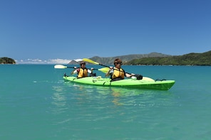 Full Day Queen Charlotte Kayak and Walking Tour from Picton