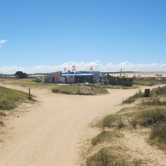 Picture 13 for Activity From Punta del Este: Cabo Polonio - Full Day Private Tour