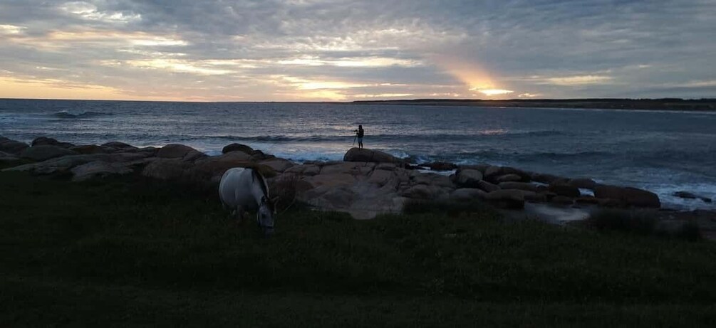 Picture 7 for Activity From Punta del Este: Cabo Polonio - Full Day Private Tour