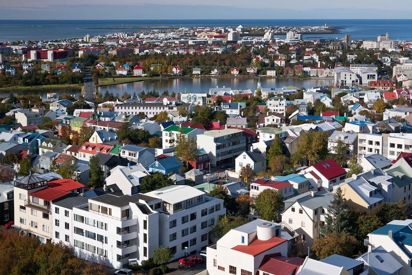 Picture 2 for Activity Surprise tour of Reykjavik guided by a Local