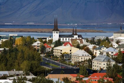 Paikallisen opastama yllätyskierros Reykjavikissa