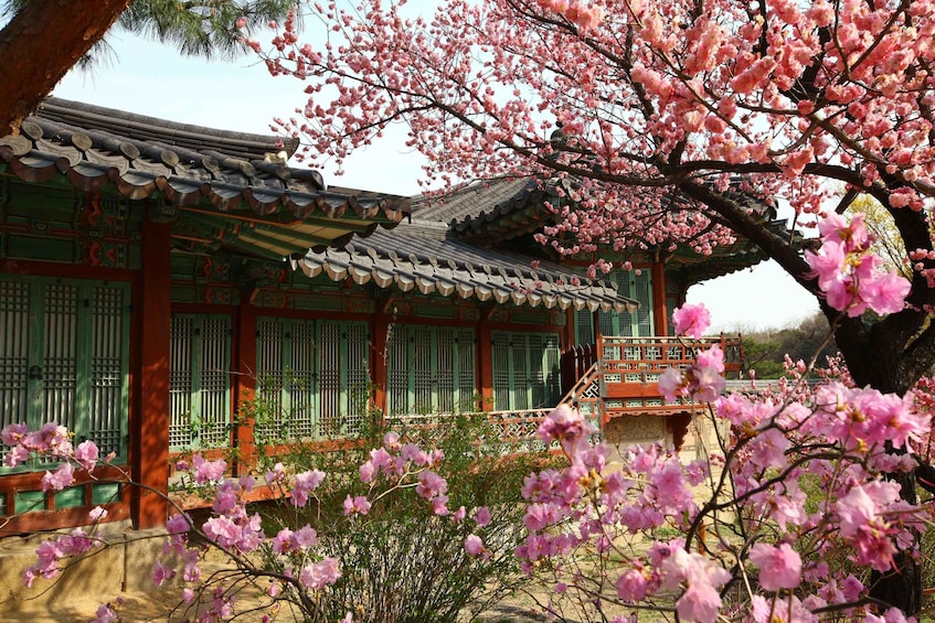 Picture 5 for Activity Seoul: Vegan Temple Food Class, Jogyesa & Changdeokgung Tour