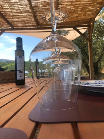 Picture 2 for Activity San Gimignano: Nature, Organic Wine and Lightheartedness