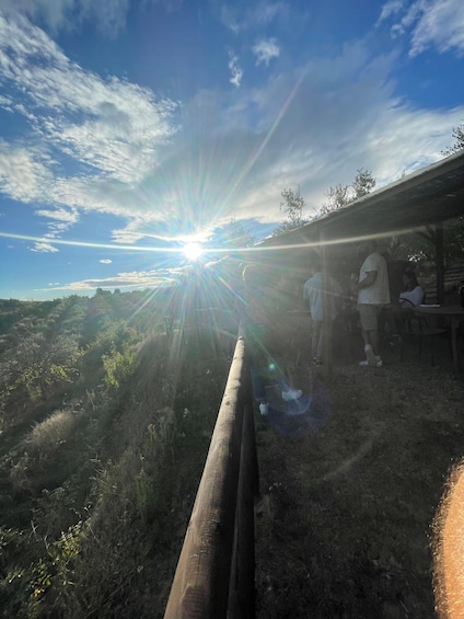 Picture 4 for Activity San Gimignano: Nature, Organic Wine and Lightheartedness