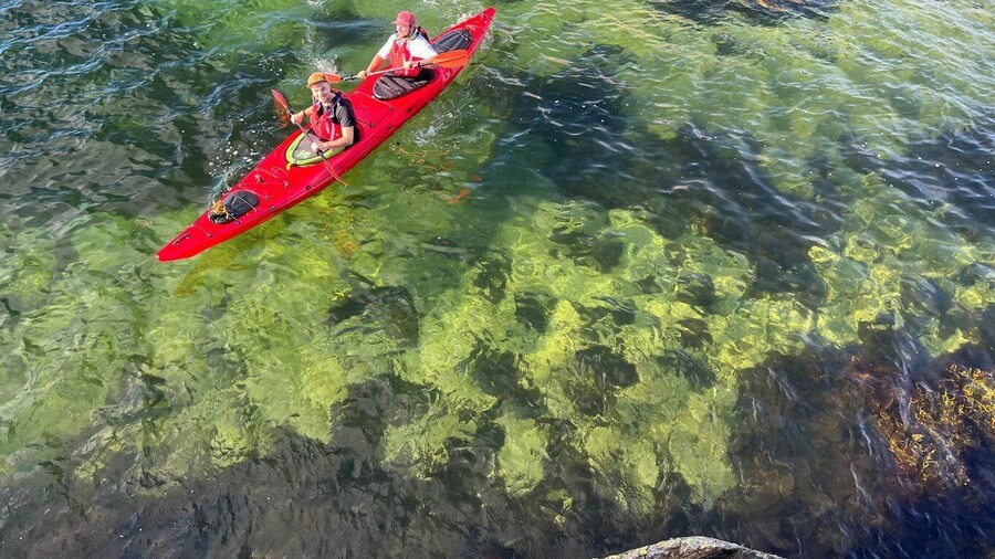 Færvik: Raet National Park Sea Kayaking Trip