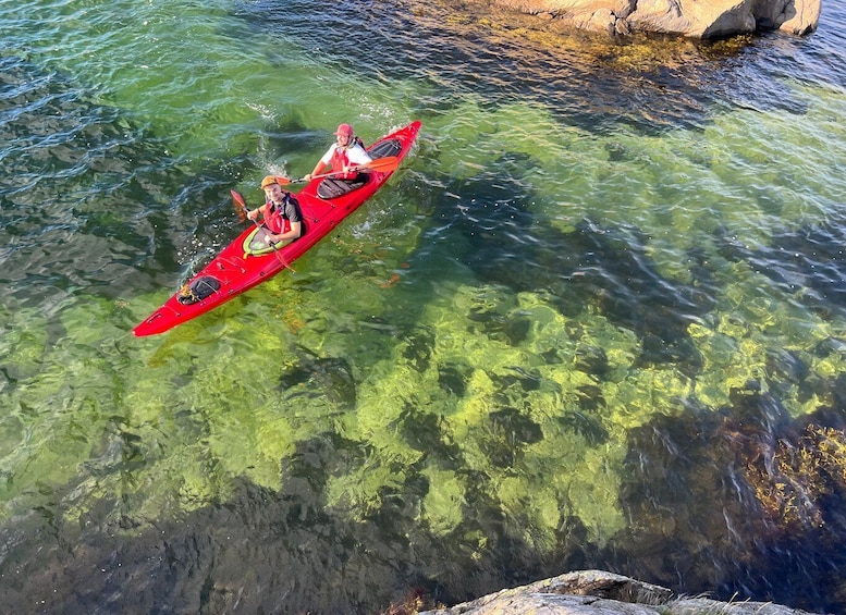 Færvik: Raet National Park Sea Kayaking Trip