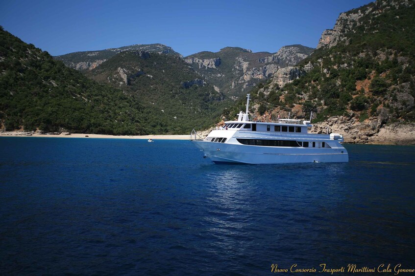 Picture 10 for Activity From La Caletta or Orosei: Gulf of Orosei Cruise