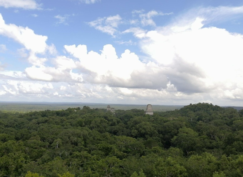 Picture 4 for Activity Impressive Tikal from Flores with Lunch
